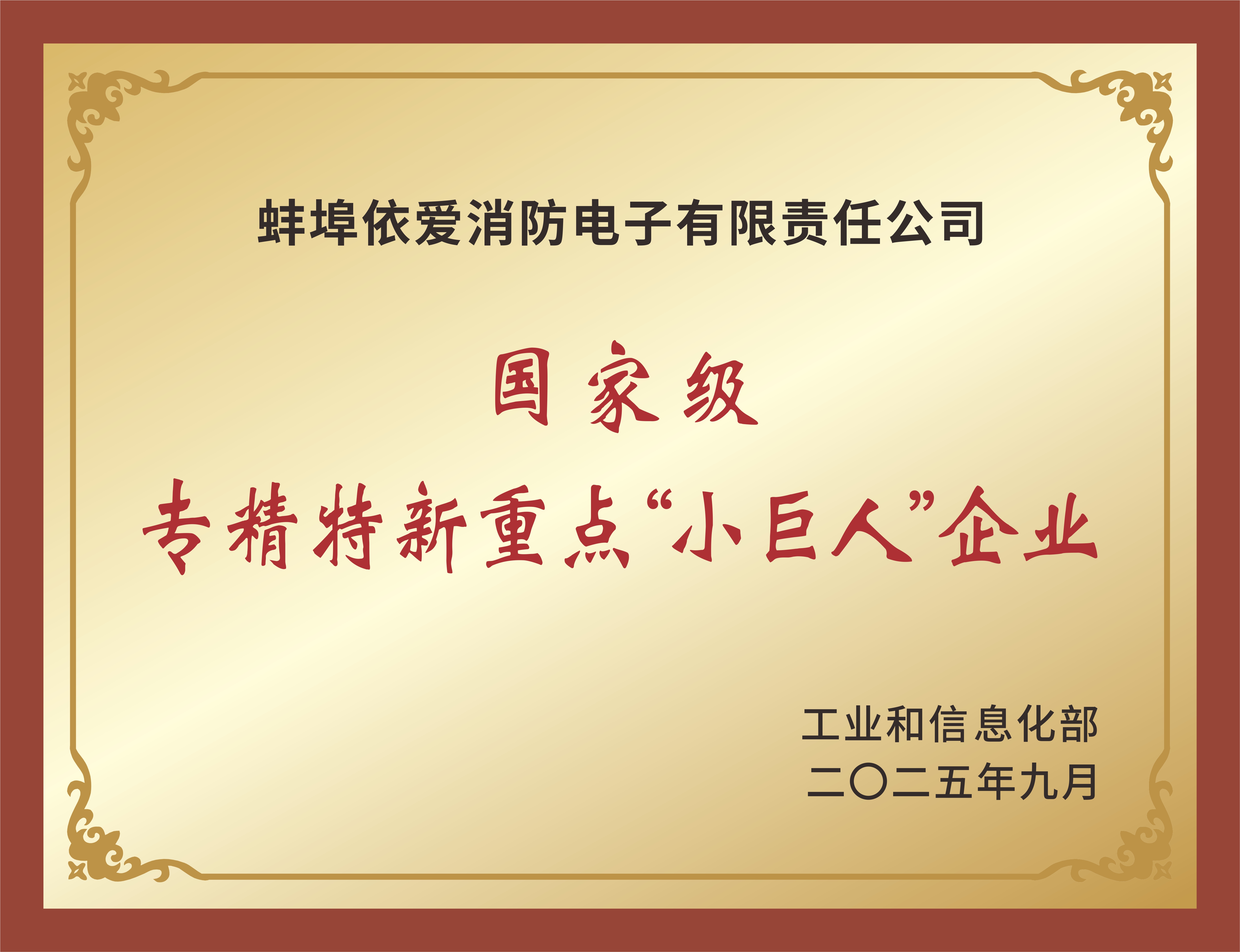 国家级专精特新重点“小巨人”企业